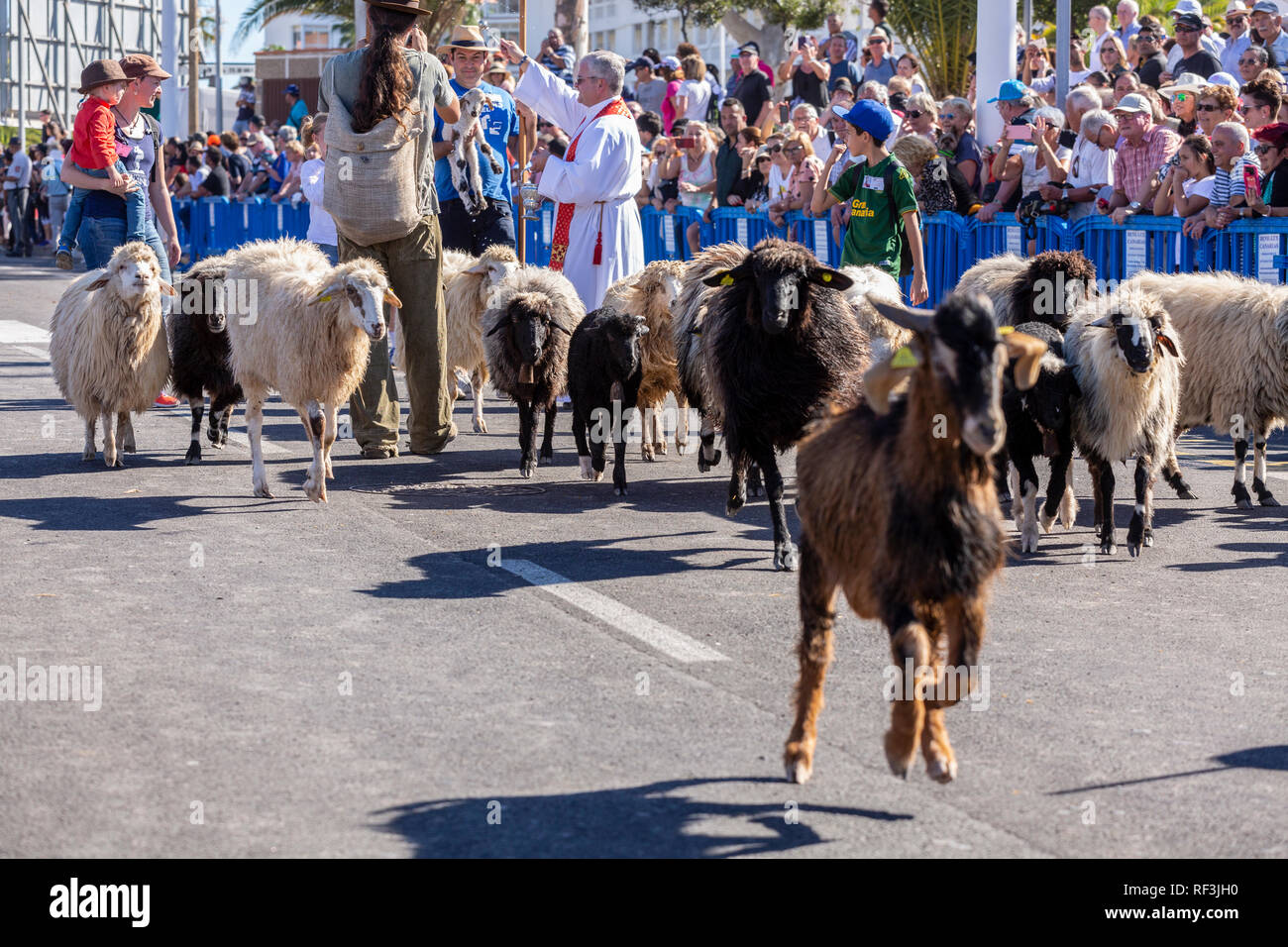 Benedizione degli animali a San Sebastian romeria, fiesta, La Caleta, Tenerife, Isole Canarie, Spagna, Foto Stock