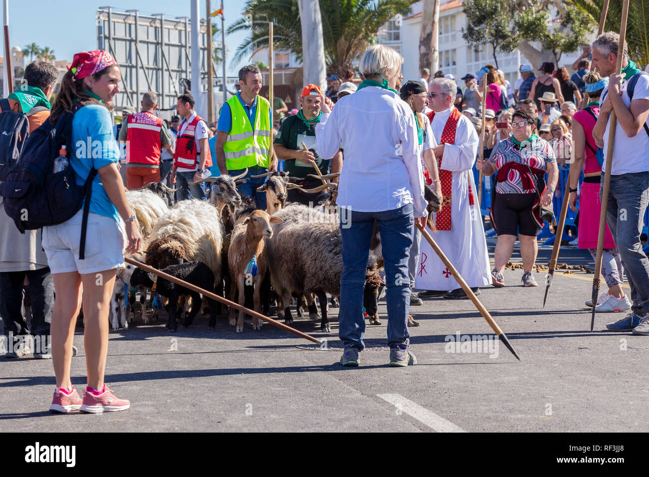Benedizione degli animali a San Sebastian romeria, fiesta, La Caleta, Tenerife, Isole Canarie, Spagna, Foto Stock
