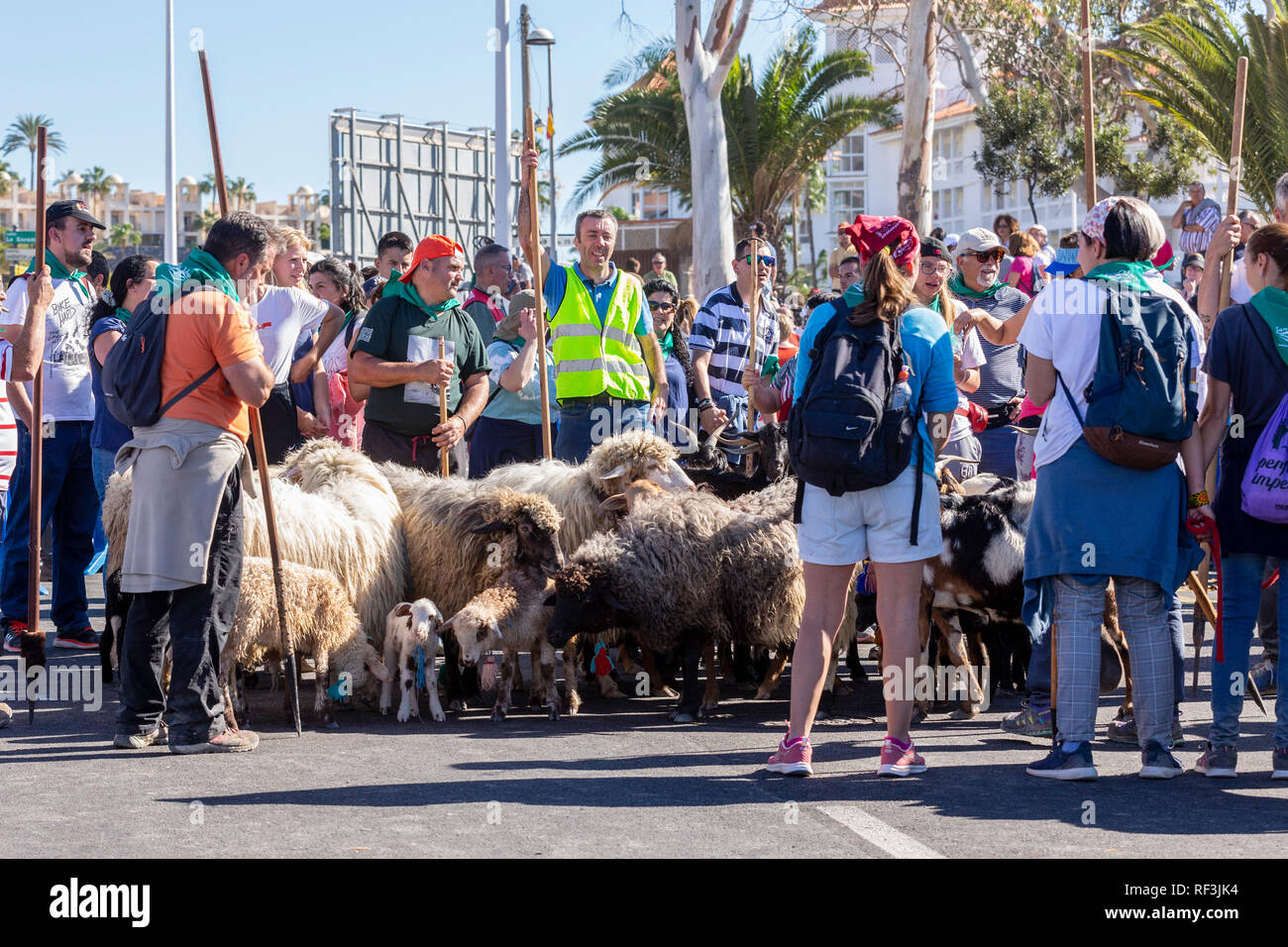 Benedizione degli animali a San Sebastian romeria, fiesta, La Caleta, Tenerife, Isole Canarie, Spagna, Foto Stock