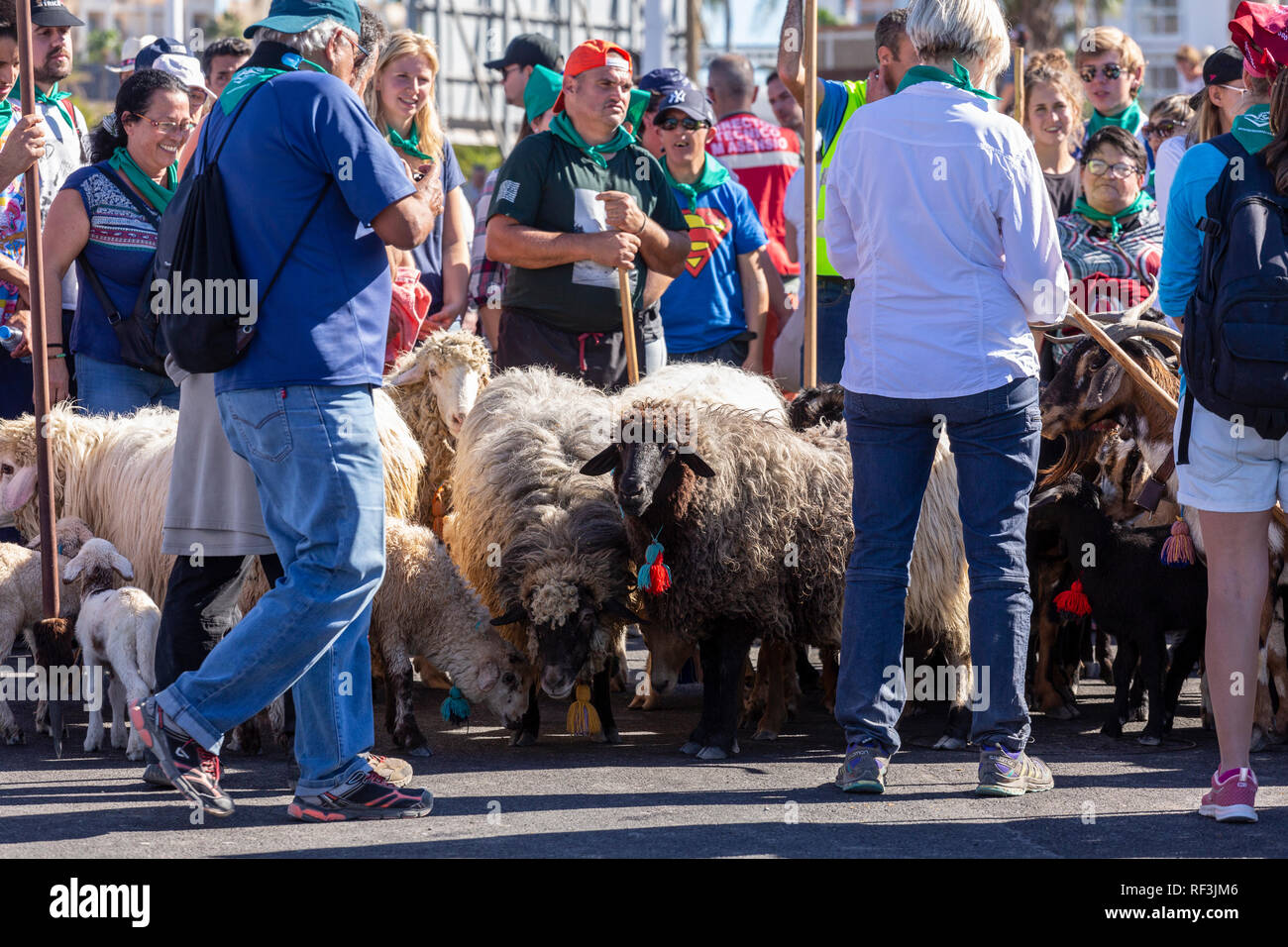 Benedizione degli animali a San Sebastian romeria, fiesta, La Caleta, Tenerife, Isole Canarie, Spagna, Foto Stock