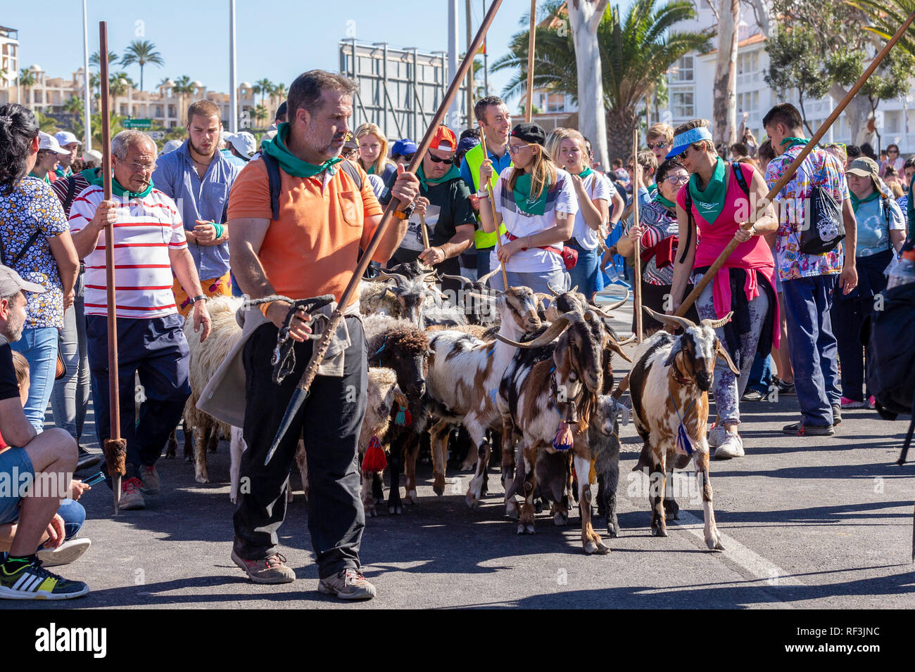 Benedizione degli animali a San Sebastian romeria, fiesta, La Caleta, Tenerife, Isole Canarie, Spagna, Foto Stock