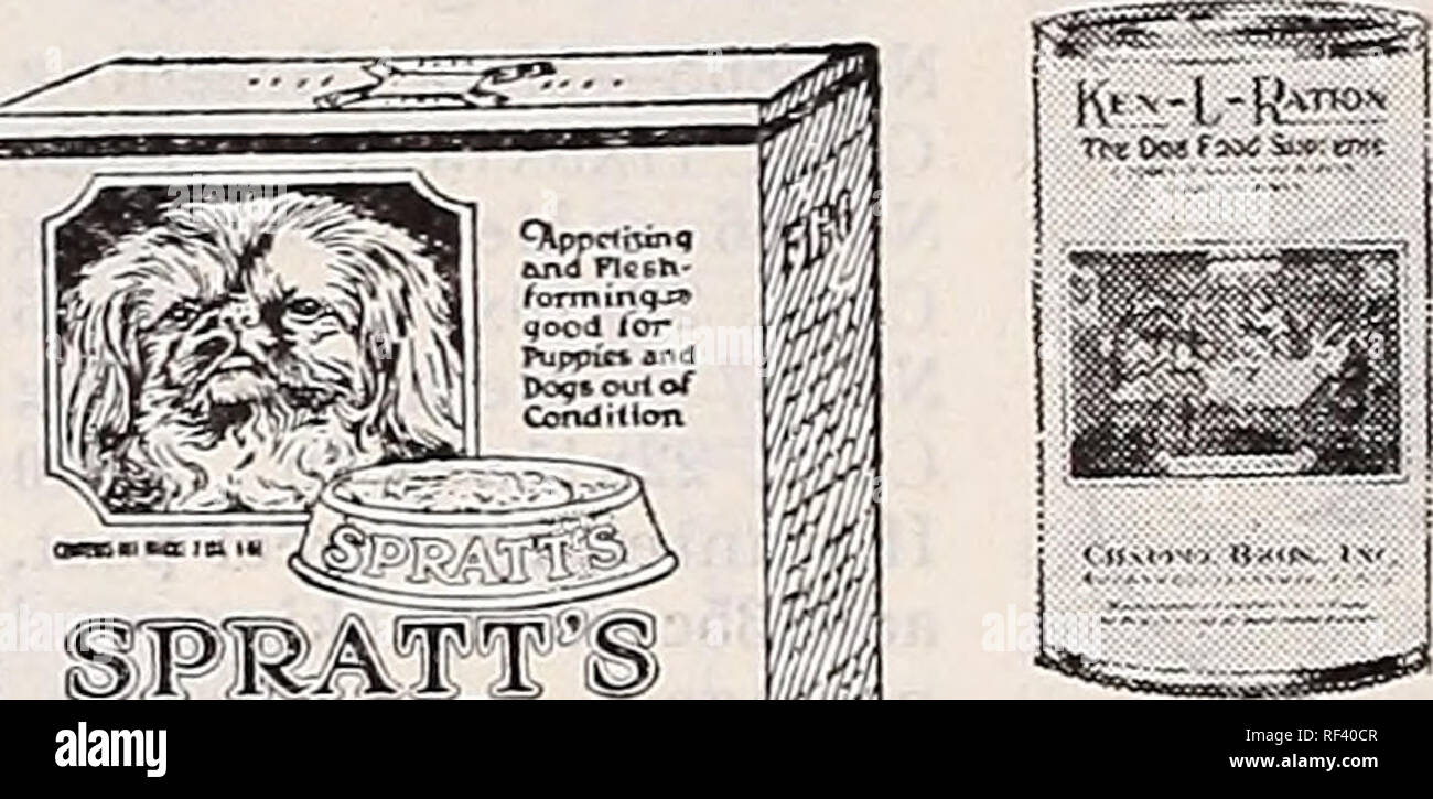 . [Catalogo]. Vivai (orticoltura) Tennessee Memphis cataloghi; vivaio Tennessee Memphis cataloghi; fiori Tennessee Memphis cataloghi; Verdure Tennessee Memphis cataloghi; frutta Memphis Tennessee cataloghi; GIARDINAGGIO Tennessee Memphis attrezzature e assistenza. 5 PRATT'S FI HO 50 libbre $5,25; express extra. 100 libbre $9.95; express extra. "Carne di cane" si applica il termine "carne di cane" per qualsiasi preparazione di carne, confezionate in lattine. Ci sono diversi tipi di corso, ma di base- alleato, essi sono circa lo stesso e sono tutte in buone condizioni. Il Pup-E-razione contiene carne rossa, ferro organico, calcio phospha Foto Stock