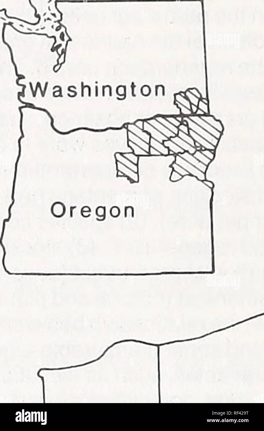 . Rigenerazione in boschi misti di conifere tagli parziali nelle Blue Mountains di Oregon e Washington. Aree di studio aree di studio (lotti) erano situati nelle foreste a midelevations delle Blue Mountains del nord-est Oregon e di Washington sudorientale in Umatilla e Wallowa- Whitman foreste nazionali (fig. 1). Hall (1973) ha identificato le comunità forestali che si verificano in area di studio o sono simili. Identificazione di queste comunità vegetali è basato sulla struttura dominante overstory e sugli arbusti, forbs, ed erbe nel sottobosco. Tenute erano situati in due di queste comunità vegetali: (1) Il miscelato Foto Stock