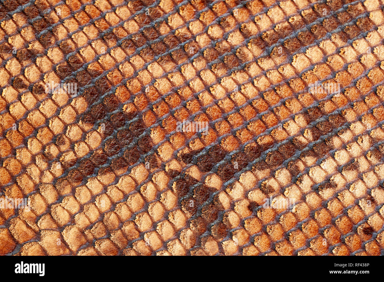 Vera pelle con imitazione di Snake la texture della pelle di rettile esotico , sfondo alla moda Foto Stock