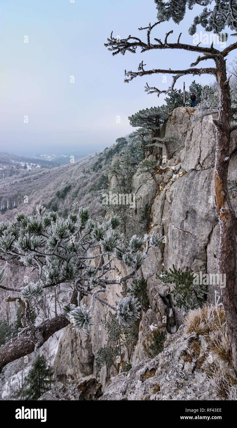 Weissenbach an der Triesting: montagna monte Peilstein, rocce, vertice di croce, alberi nel Wienerwald, Vienna Woods, Niederösterreich, Bassa Austria, Austr Foto Stock