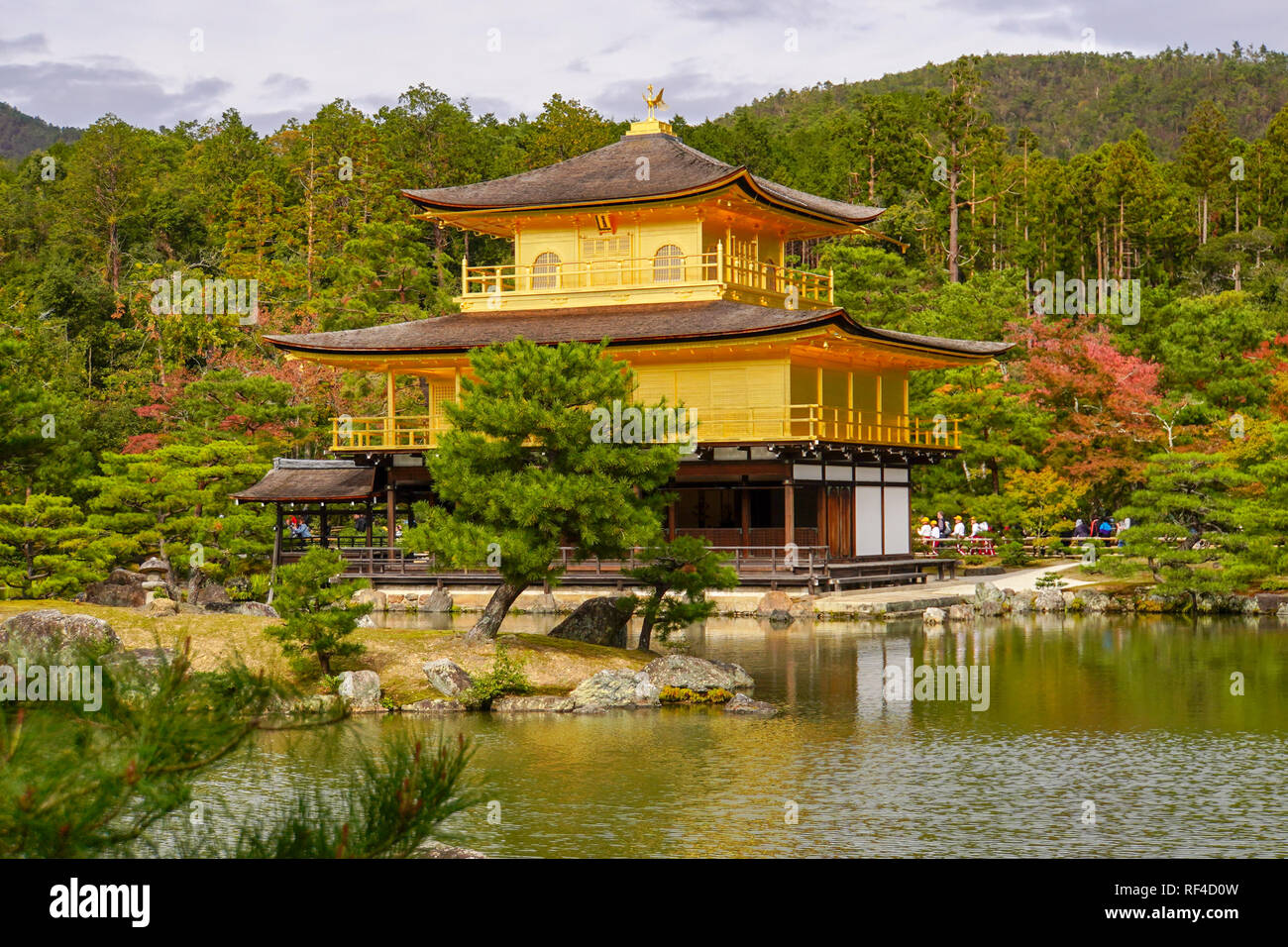 Giappone, Kyoto, Zen tempio Buddista Kinkaku-ji (Tempio del Padiglione Dorato), Aka Rokuon-ji (cervo giardino tempio) Foto Stock