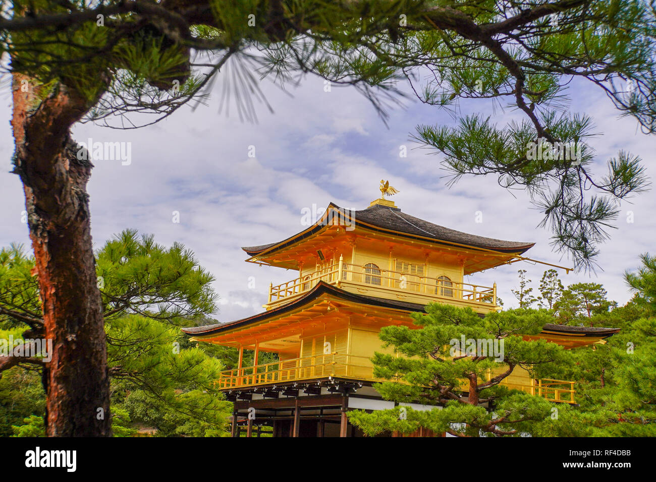 Giappone, Kyoto, Zen tempio Buddista Kinkaku-ji (Tempio del Padiglione Dorato), Aka Rokuon-ji (cervo giardino tempio) Foto Stock