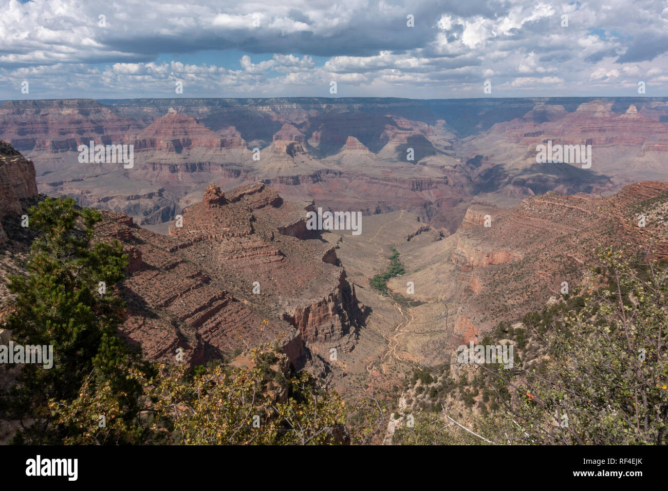 Guardando verso il basso il Bright Angel Trail da Rim Trail vicino al Grand Canyon Village, South Rim, il Parco Nazionale del Grand Canyon, Arizona, Stati Uniti. Foto Stock