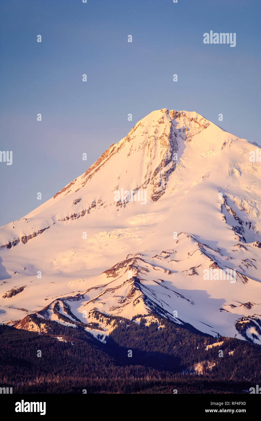 Monte Cofano da Hood River Valley, Oregon. Foto Stock