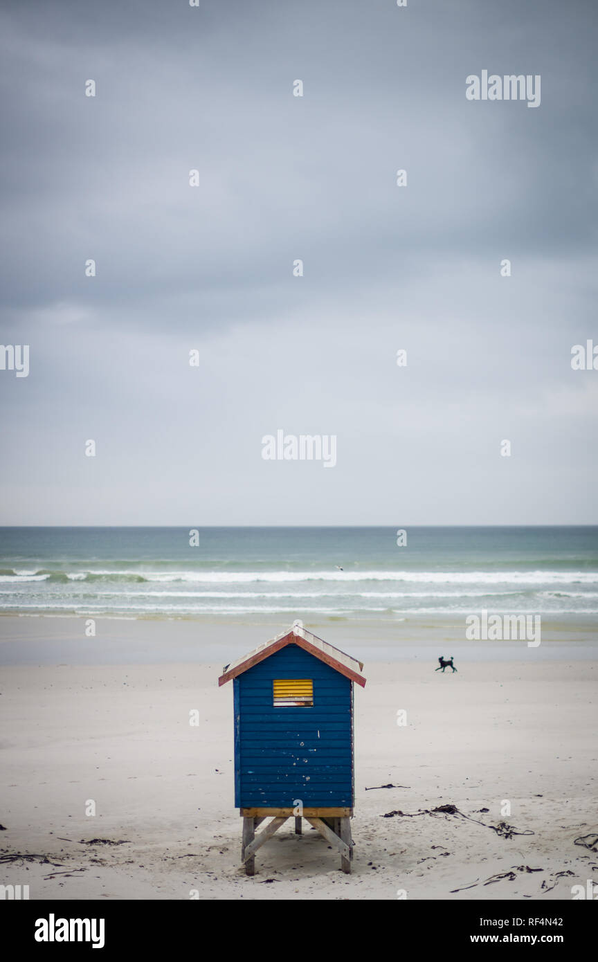 Questi pittoresca spiaggia di capanne in Muizenberg False Bay, Città del Capo, Provincia del Capo Occidentale e Sud Africa sono icone di estate vacanze in spiaggia a Cape Town. Foto Stock