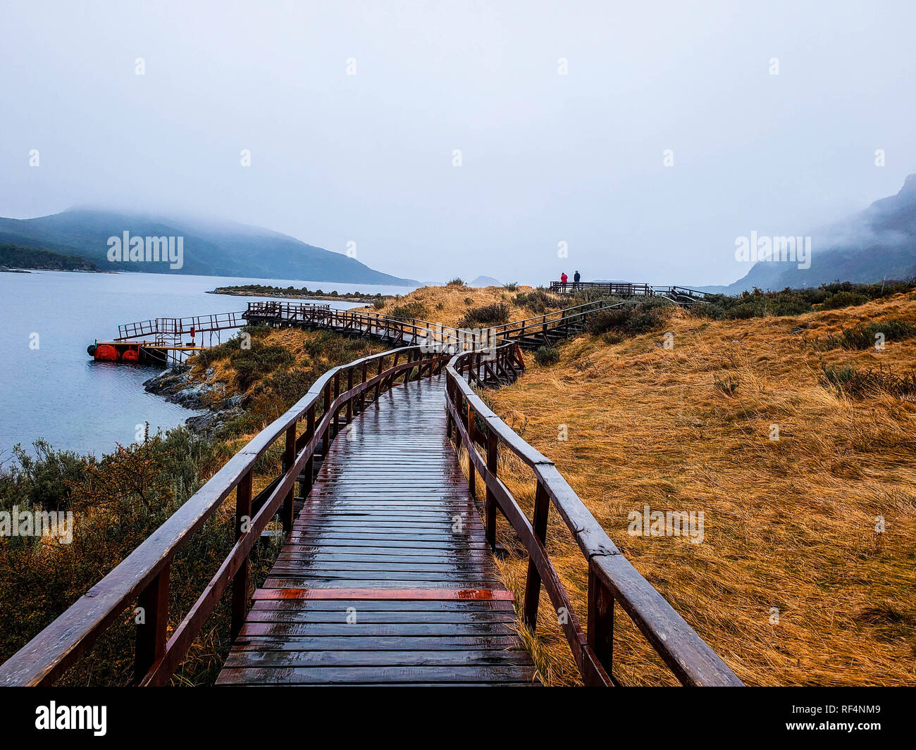 Vedute panoramiche del parco nazionale Tierra del Fuego, Ushuaia, Argentina, Patagonia Foto Stock