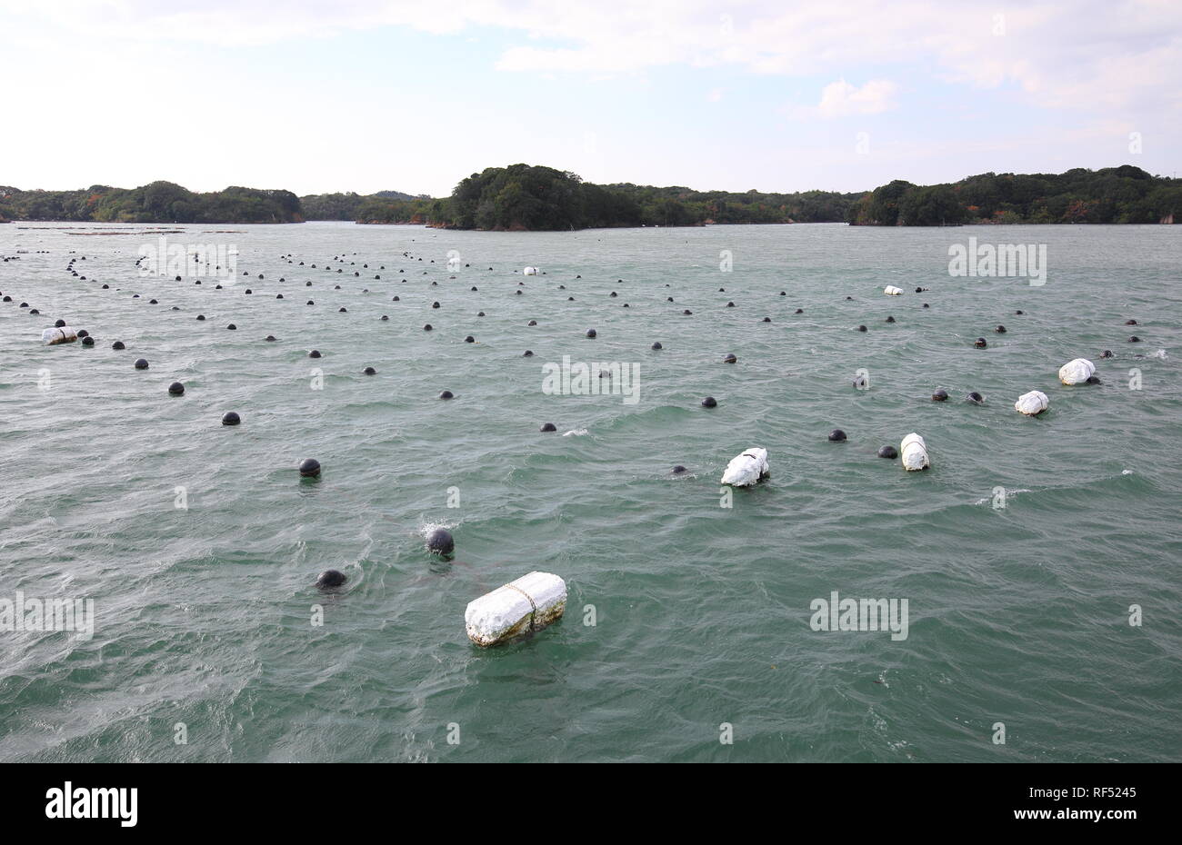 Fa bay island paesaggio e aqua perla coltivazione agricola Shima Giappone Foto Stock