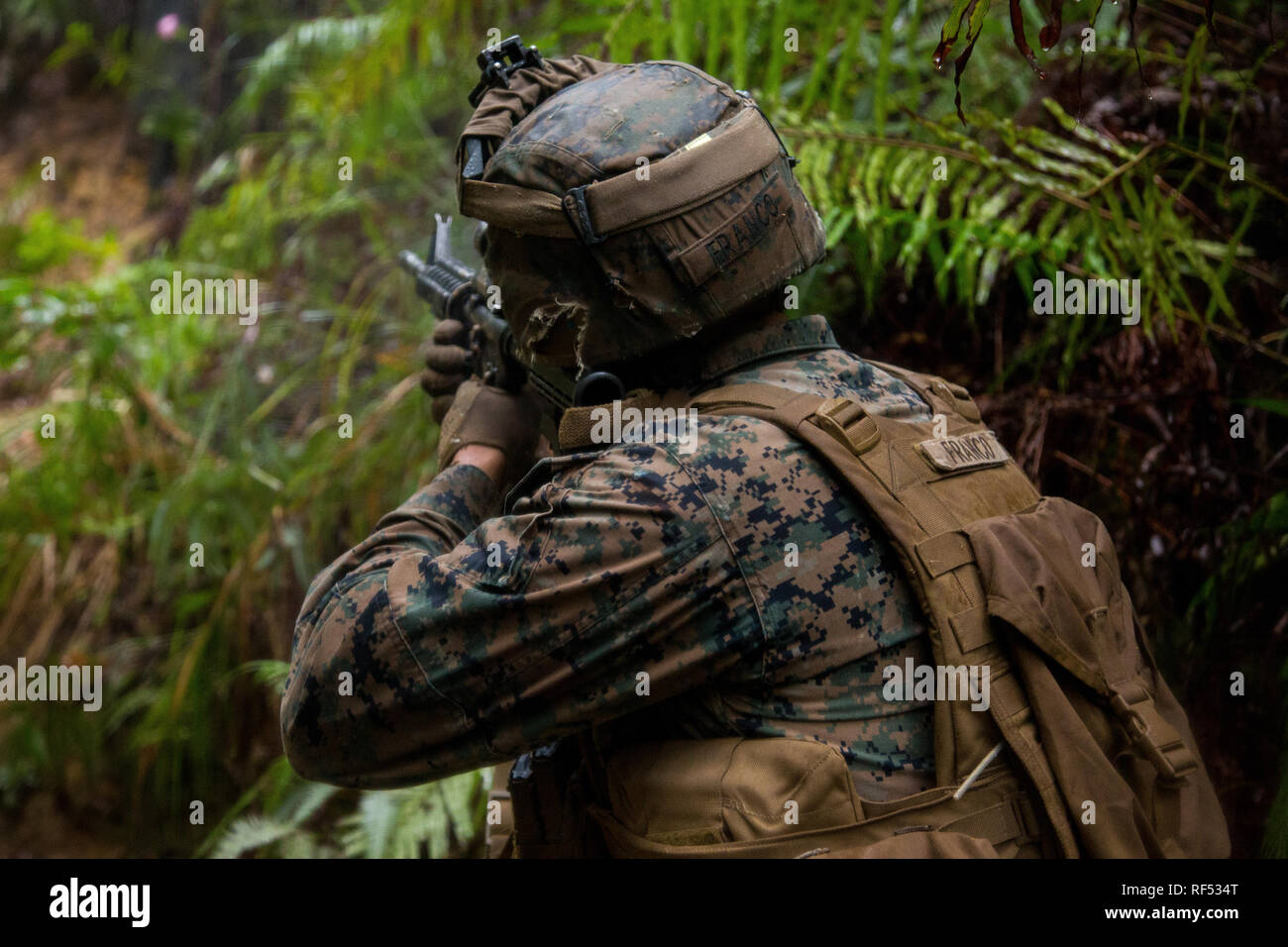 Marines con 1° Battaglione, 3° Marines, attualmente assegnato alla terza divisione Marine, condurre un live-fire Pointman corso di reazione su Camp Hansen, Okinawa, in Giappone, 17 gennaio 2019. 1/3 è attualmente in sei mesi di distribuzione su Okinawa. Il corso di formazione è progettato per migliorare le unità di reazione al fuoco in un ambiente giungla nonché al fine di migliorare il livello generale di preparazione della missione. (U.S. Marine Corps photo by Lance Cpl. D'Angelo Yanez) Foto Stock