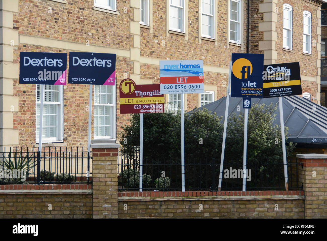 Agente immobiliare a lasciar fuori le schede proprietà in SW London, Regno Unito Foto Stock