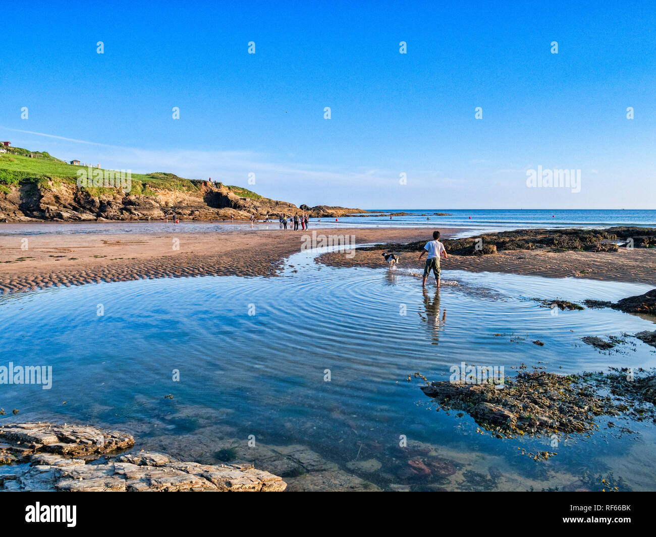 8 Giugno 2018: Bovisand, Plymouth, Devon, Regno Unito - ragazzo giocando con il cane a Bovisand Beach a bassa marea, con cielo blu chiaro. Foto Stock