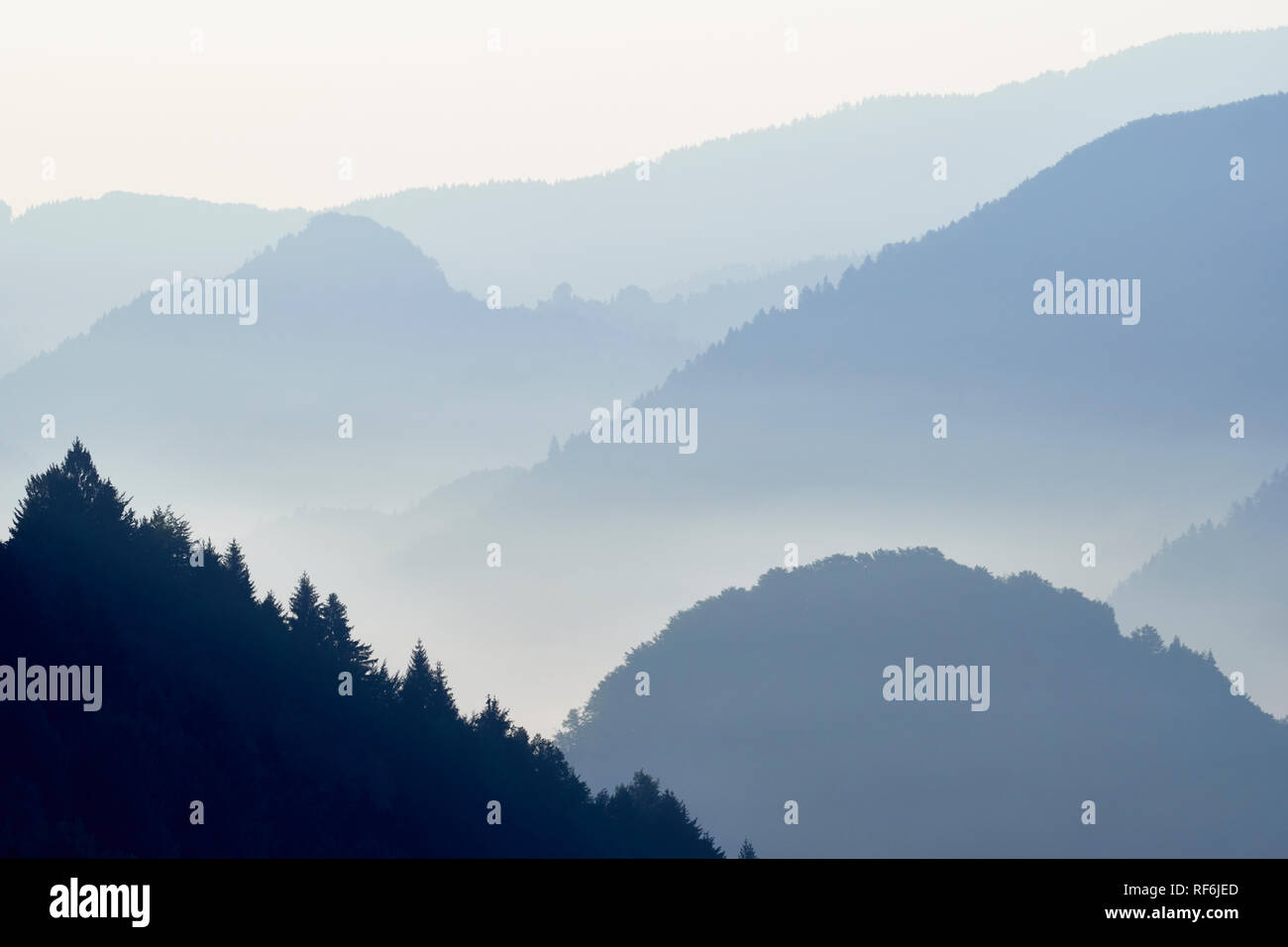 Le colline boscose di Gorenjska, Slovenia all'alba. Vista da Sorica Foto Stock