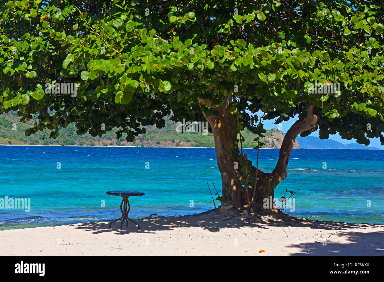 Accogliente spiaggia di sabbia attrezzata con un tavolo sotto il grande mare albero di uva, san Tommaso, USVI. Foto Stock