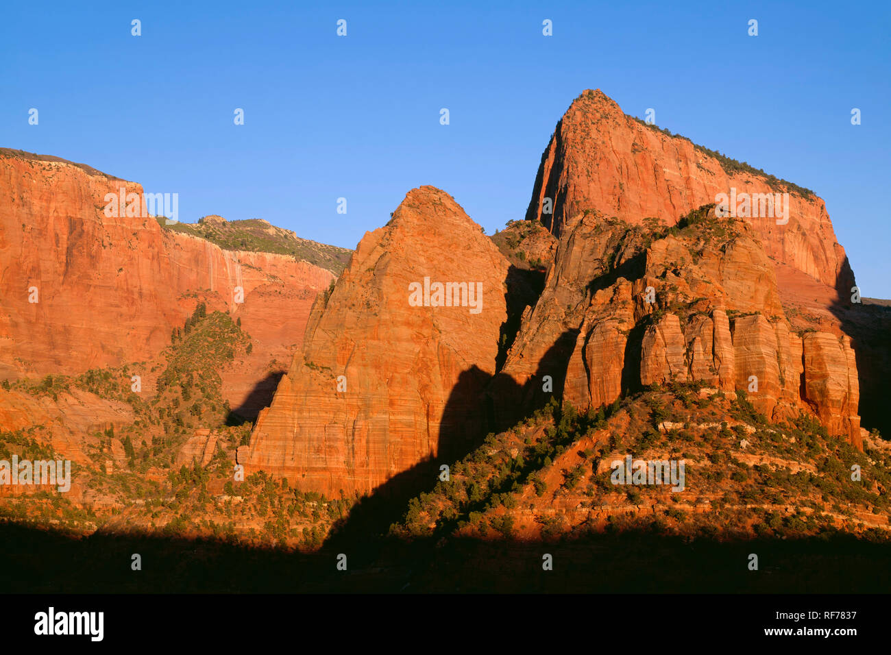 Stati Uniti d'America, Utah, Parco Nazionale Zion, Tramonto arrossa Navajo scogliere di arenaria di legname Top Mountain, Kolob Canyon area. Foto Stock