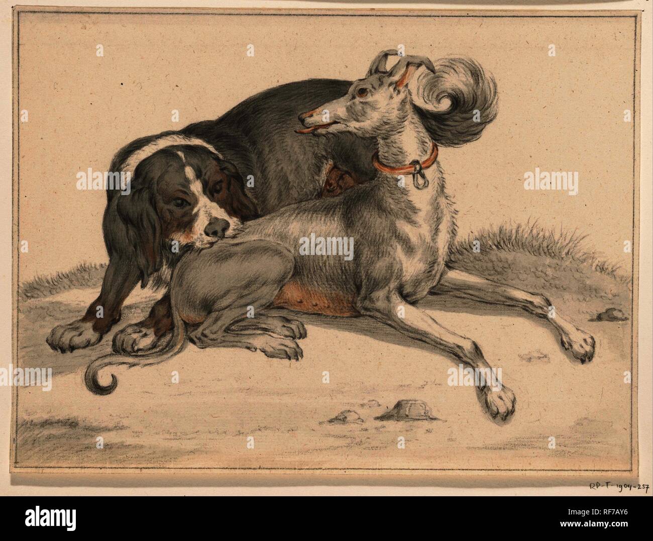 Un cane morde un altro cane seduta nel retro. Relatore per parere: Jean Bernard. Dating: 1775 - 1833. Misurazioni: h 200 mm × W 270 mm. Museo: Rijksmuseum Amsterdam. Foto Stock