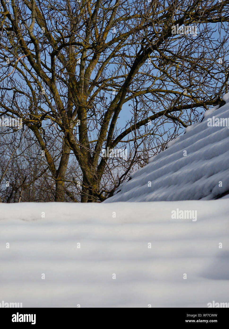 La fusione della neve sul tetto in inverno Foto Stock