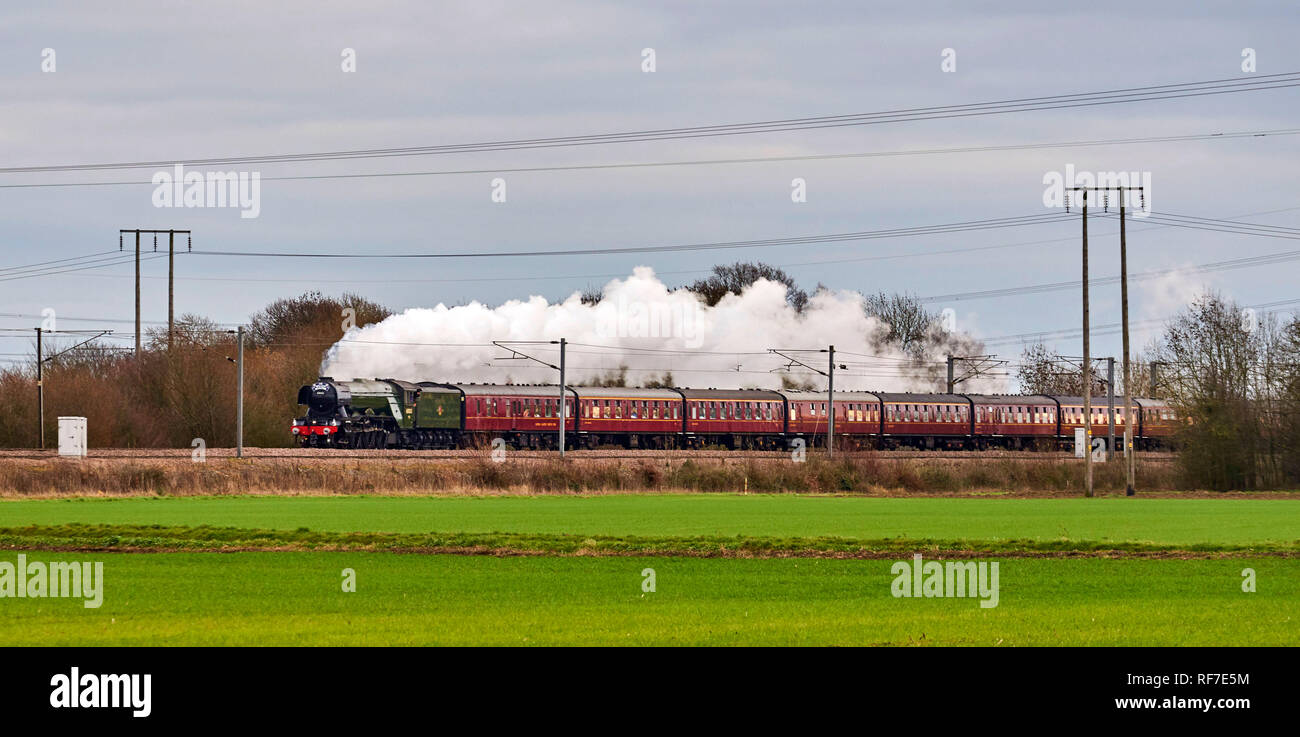 Flying Scotsman steam loco, sulla East coast main line a sud di Selby, North Yorkshire, nell'Inghilterra del Nord, Regno Unito Foto Stock