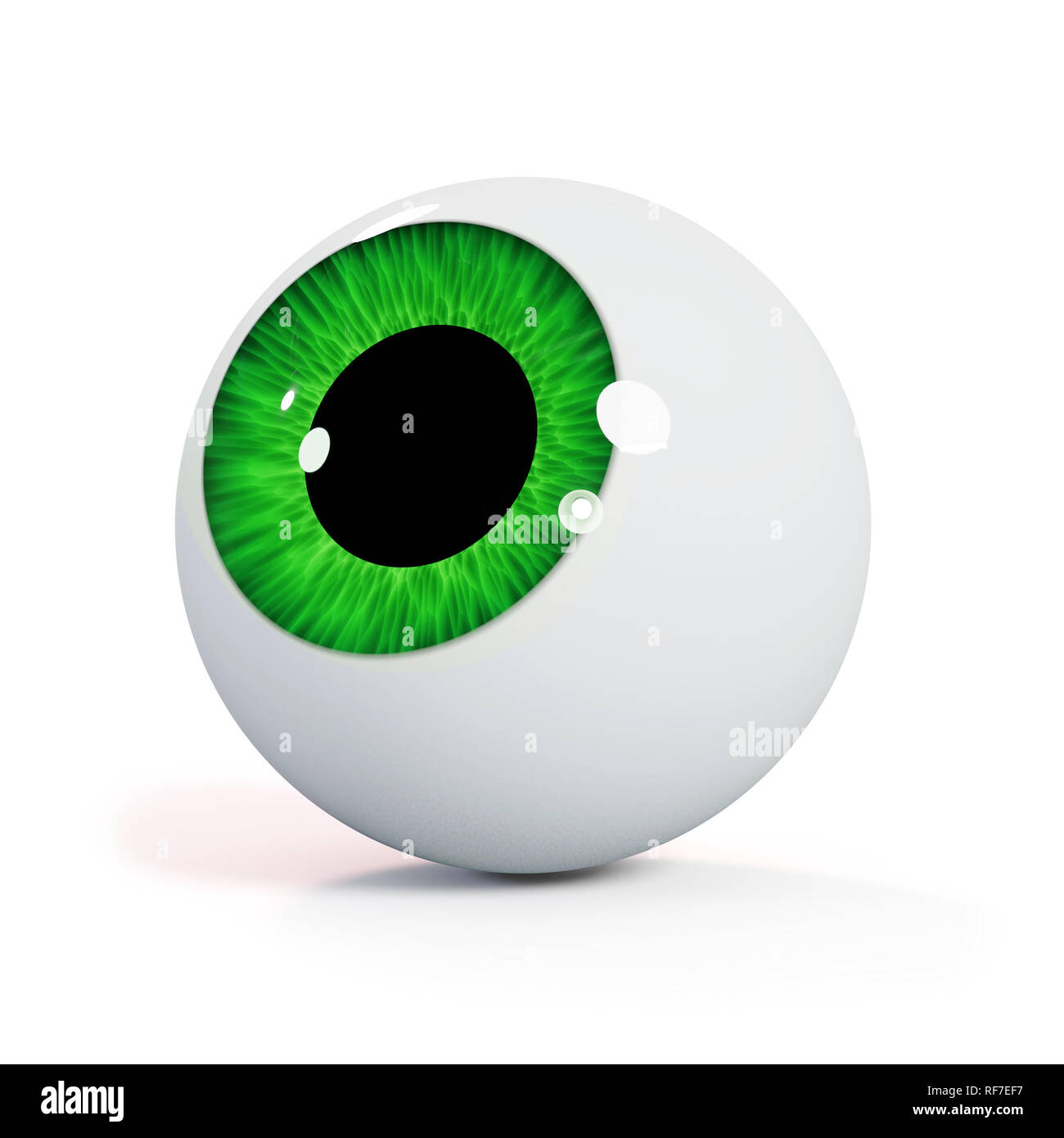 Bulbo oculare umana con iris verde isolato con ombra su sfondo bianco guardando in alto (3d rendering) Foto Stock