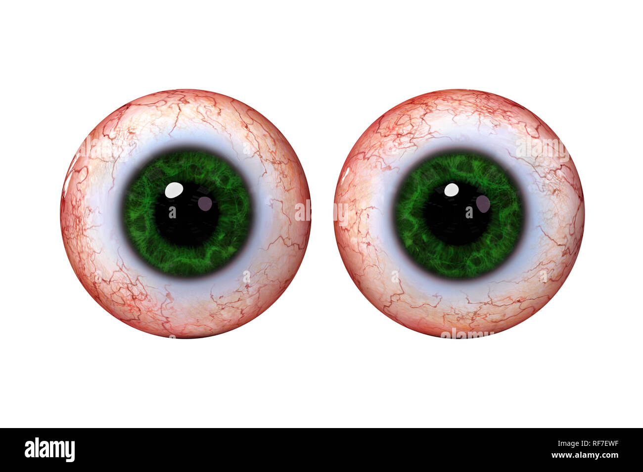 Due realistico occhio umano sfere con verde iris, isolati su sfondo bianco (3d rendering) Foto Stock
