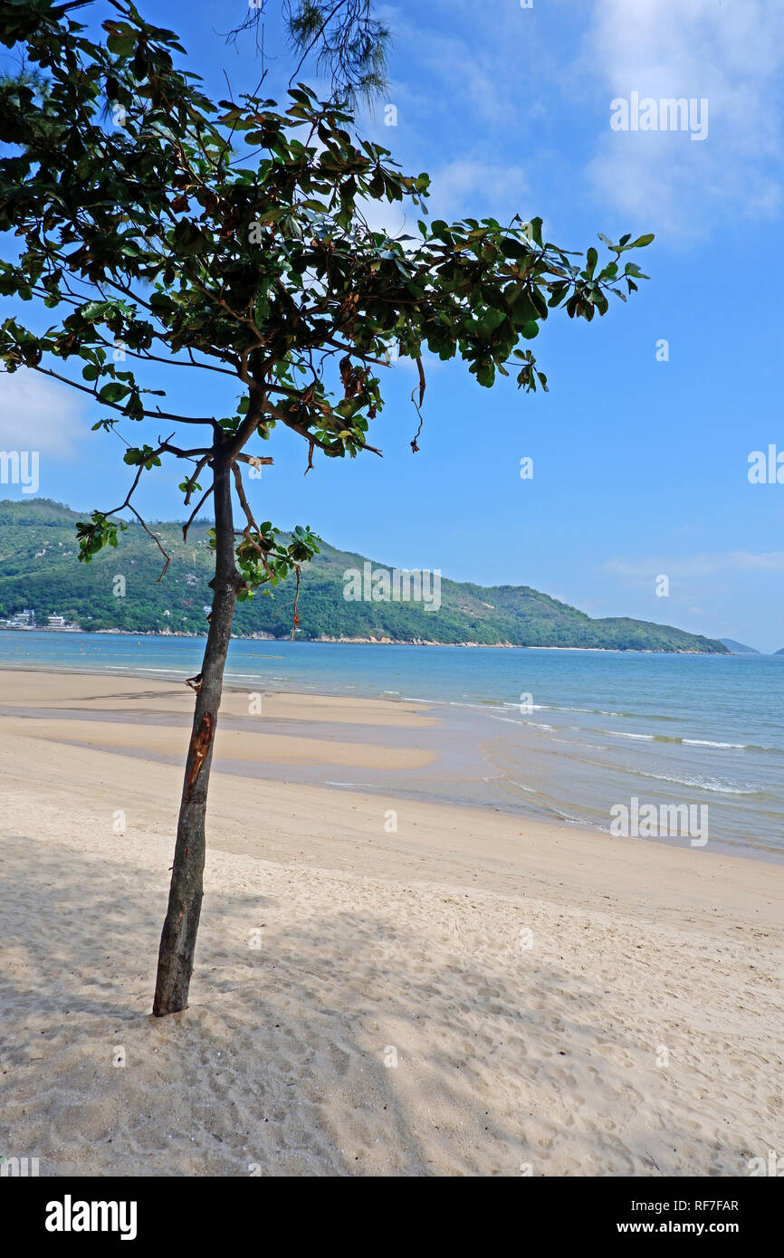 Il vertcal Hong Kong spiaggia di sabbia, acqua onda, montagna e albero Foto Stock