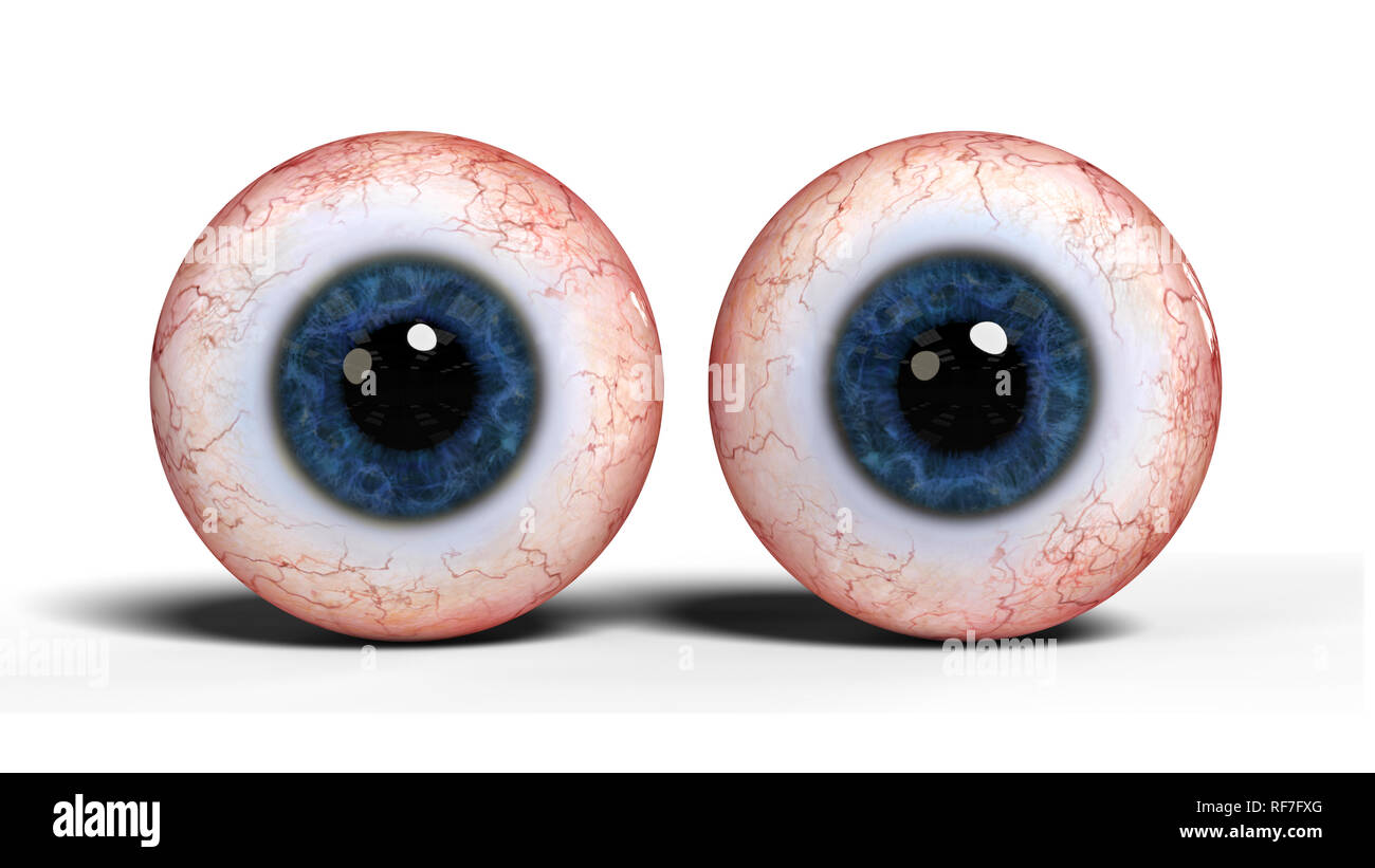 Due realistico gli occhi umani con iris blu, isolato su sfondo bianco (3d'illustrazione) Foto Stock
