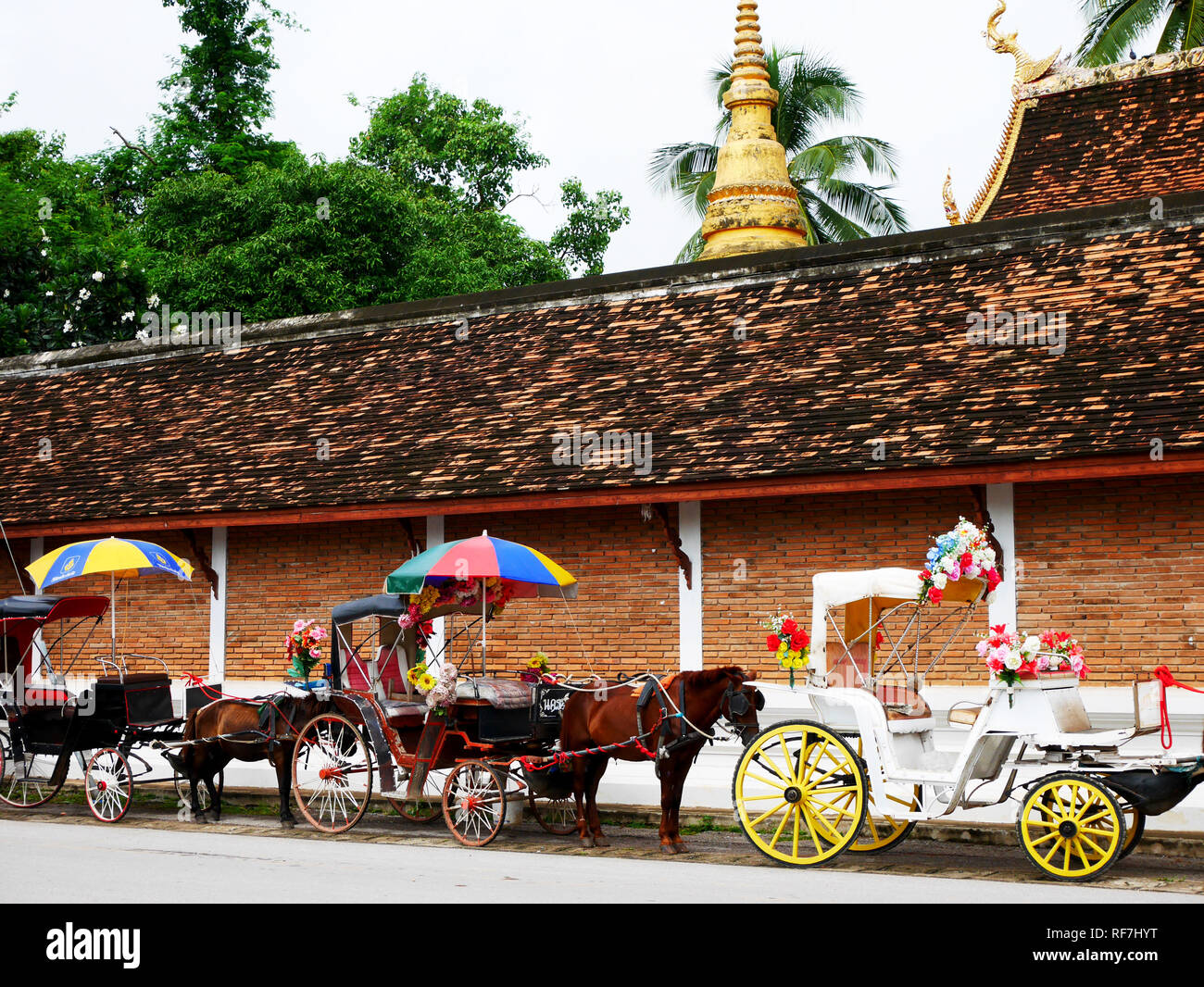 Cavalli carrozza viaggiatori di attesa popolo thai utilizzare service tour città intorno al Wat Phra That Lampang Luang tempio Buddista sulla luglio 17, 2017 in La Foto Stock