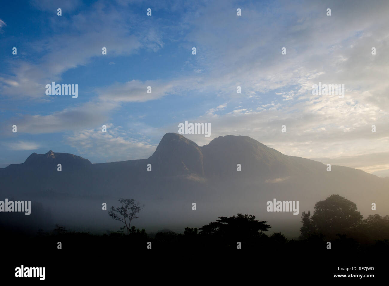 Mount Mulanje massiccio, il monte più alto in Sud Africa centrale, Malawi, fa un magnifico sfondo per il tè estates è a base. Foto Stock