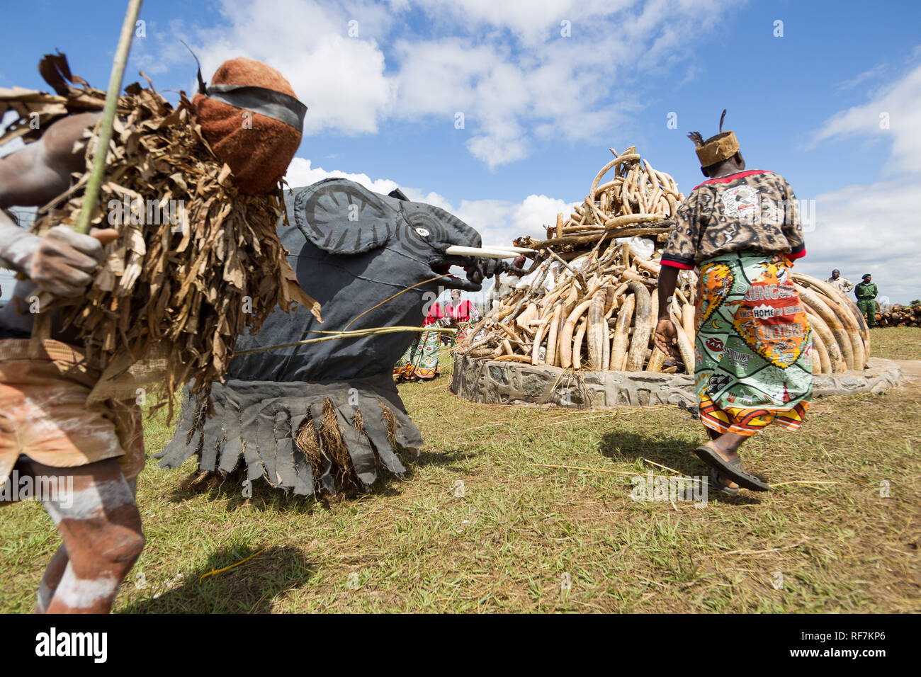 Tradizionale Gule Wamkulu Danzatori tribali eseguire una cerimonia spirituale di fronte confiscati avorio di elefante pianificato per masterizzare, Lilongwe Malawi Foto Stock