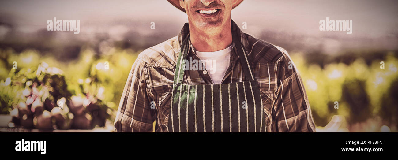 Ritratto di un agricoltore sorridente della scatola di contenimento di frutta Foto Stock