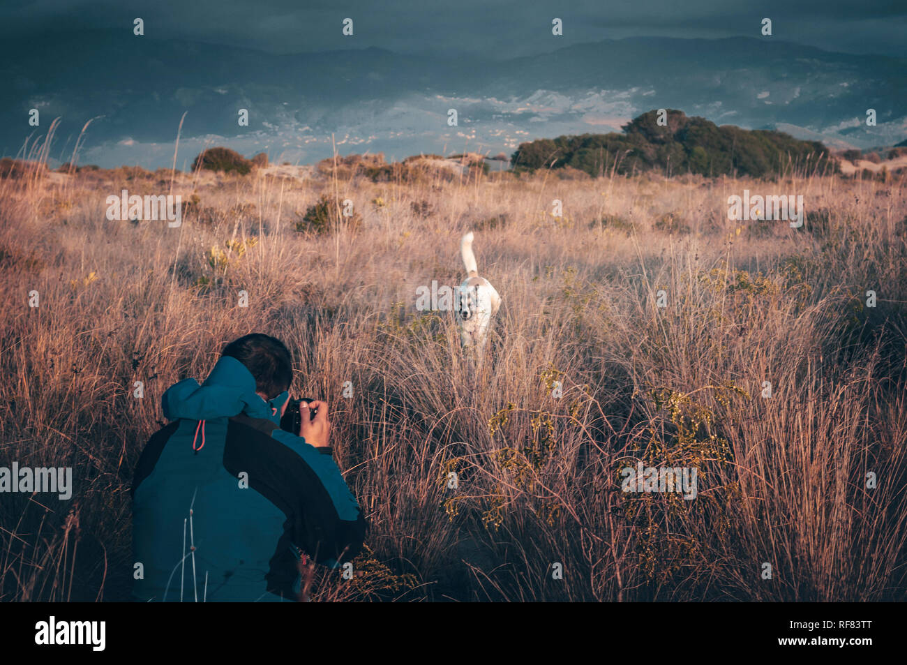L'uomo fotografo con fotocamera tenendo la foto del cane in esecuzione. Foto Stock