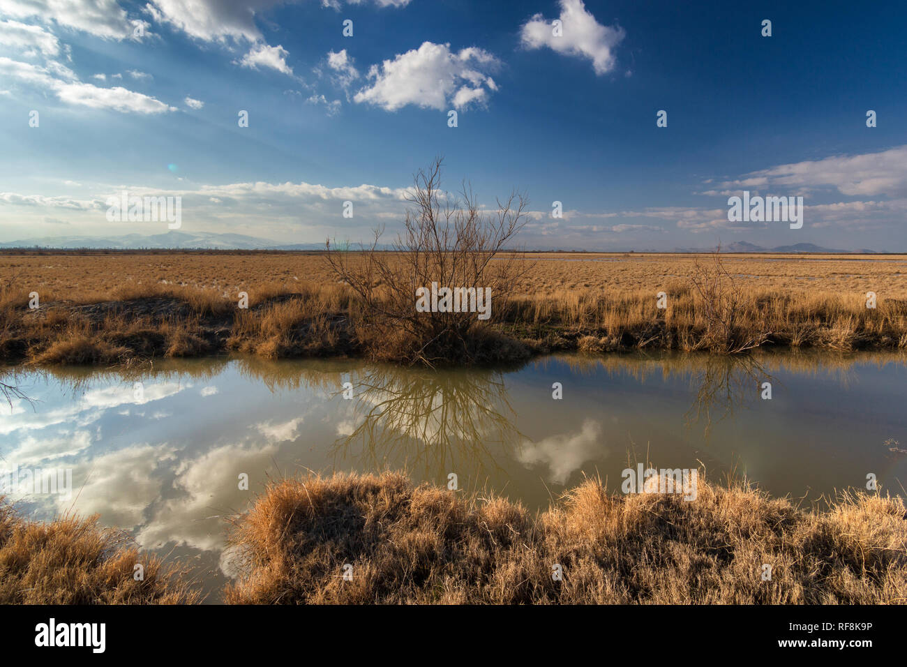 Le zone umide attorno al lago di Urmia, West Azerbaijan provincia, Urmia, Iran Foto Stock