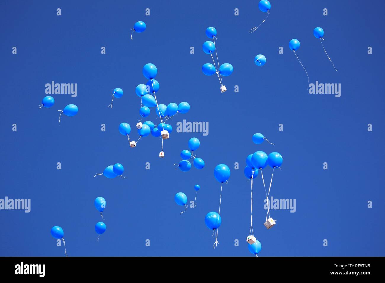 Un sacco di palloncini in un cielo blu Foto Stock