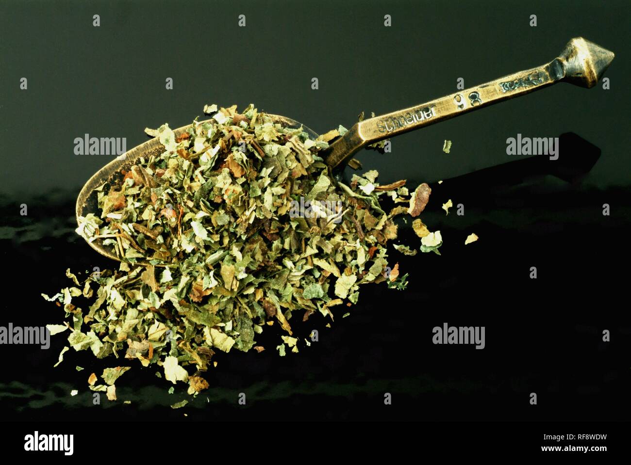 Ali bianche Lungwort (Pulmonaria officinalis), l'erba essiccata, pianta medicinale, tè Foto Stock