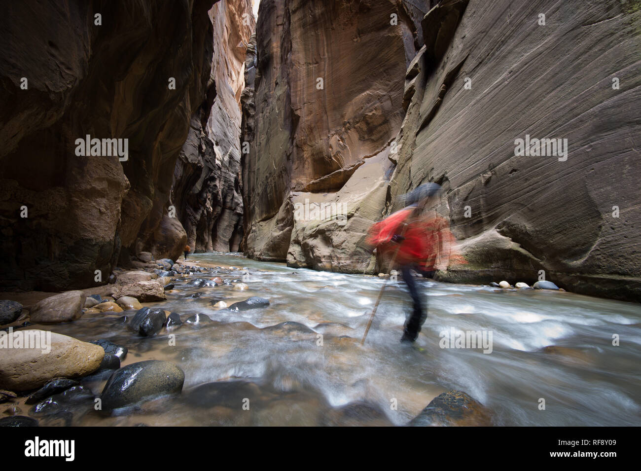 Escursioni al Parco Nazionale Zion il famoso canyon slot, si restringe in inverno richiede un dry suit e vestiti caldi, ma è meno affollato in estate Foto Stock