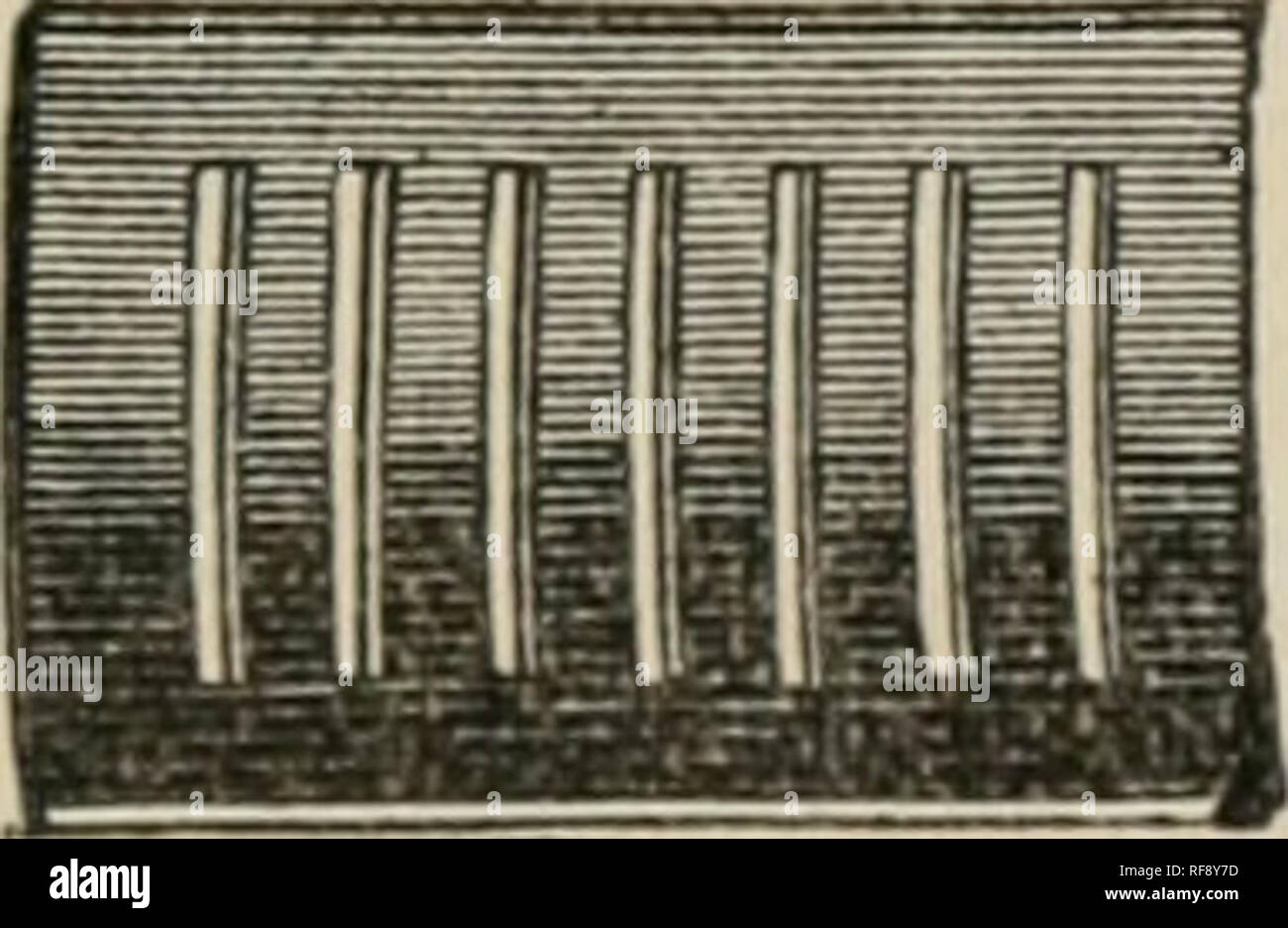 Catalogo Di Miglioramento E Brevettato Stabile Accessori Ed Attrezzature Ottone Bronzato E Nichelato Pollame Apparecchi Di