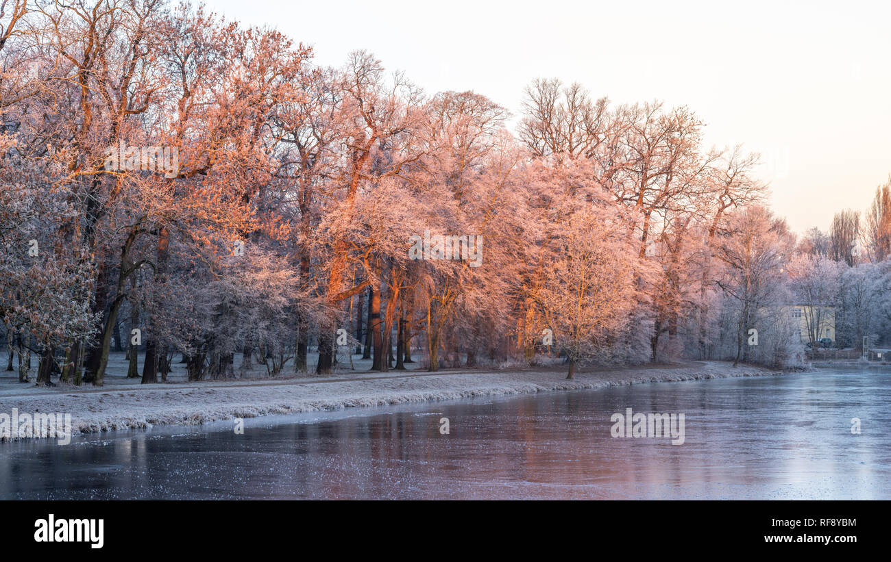 Leipzig im Frost, Sie auf der Weiße Elster und vereiste Bäume am Ufer im Licht der aufgehenden Sonne Foto Stock