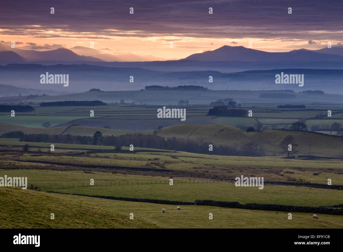 Vista su tutta la valle di Eden a nord Lakeland Fells, Cumbria Foto Stock