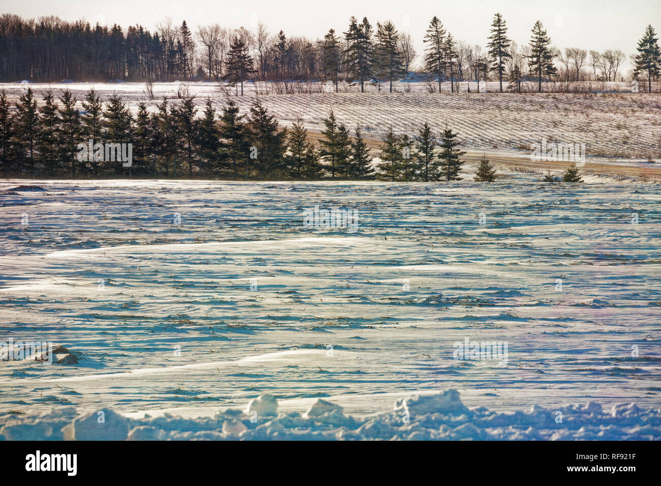 Congelati i campi agricoli nelle zone rurali di Prince Edward Island, Canada. Foto Stock