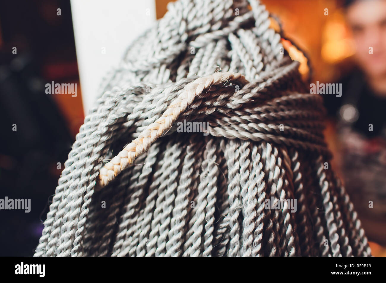 Giovane donna con il grigio trecce di capelli lunghi Foto Stock