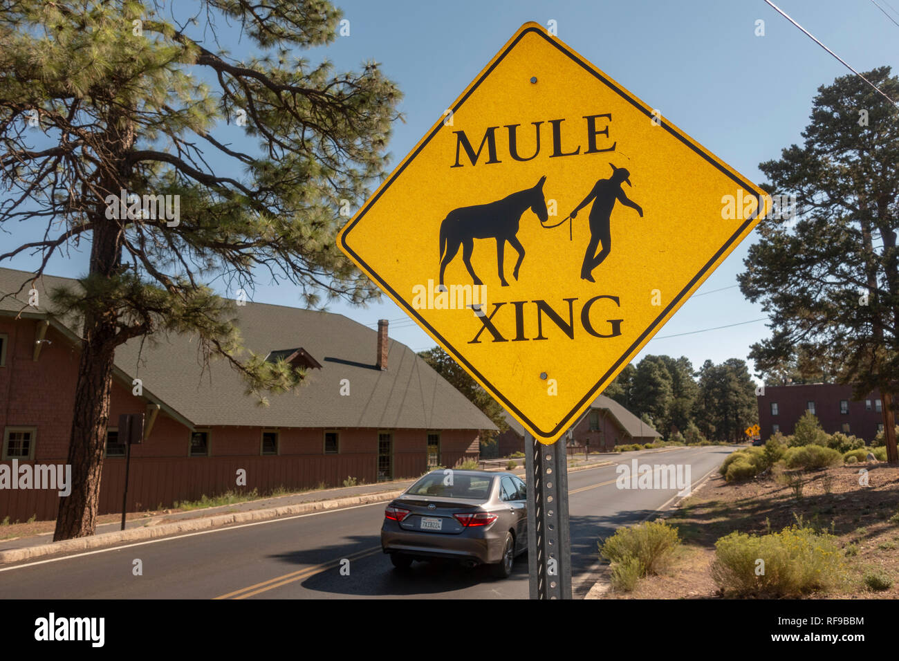 Segno di avvertimento agli utenti della strada di attraversamento dei muli nel il villaggio di Grand Canyon, il Parco Nazionale del Grand Canyon, Arizona, Stati Uniti. Foto Stock