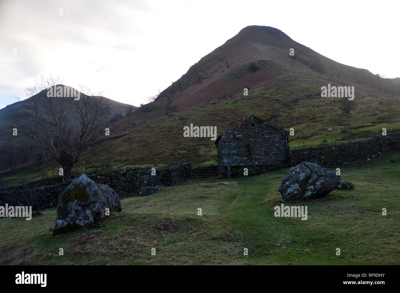 Il Wainwrights medio Dodd & Alta Hartsop Dodd con un vecchio fienile vicino fratelli acqua in Dovedale, Parco Nazionale del Distretto dei Laghi, Cumbria, Regno Unito. Foto Stock