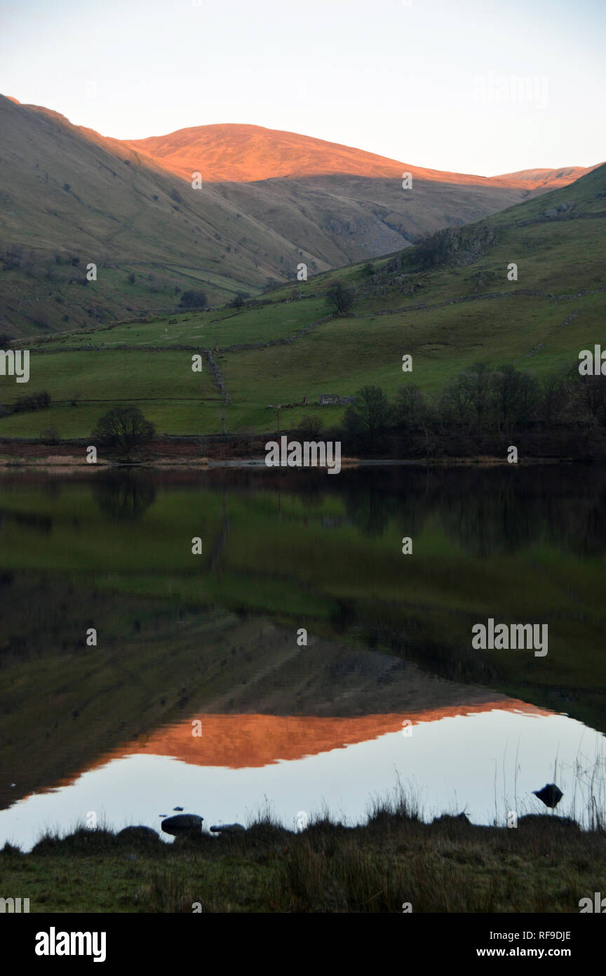 La Wainwright resto Dodd riflessa nei fratelli acqua al tramonto, Dovedale, Parco Nazionale del Distretto dei Laghi, Cumbria, Inghilterra, Regno Unito. Foto Stock