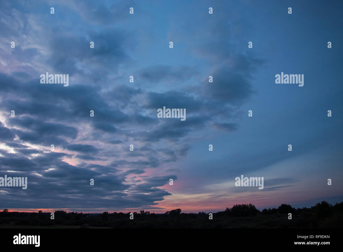 Le nuvole colorate nel cielo dopo il tramonto e alberi all'orizzonte Foto Stock