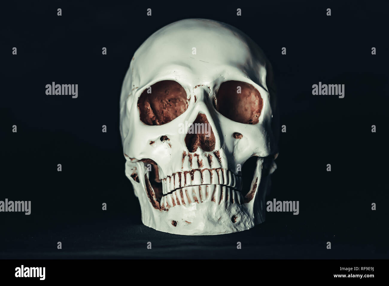 Cranio nel buio Foto Stock