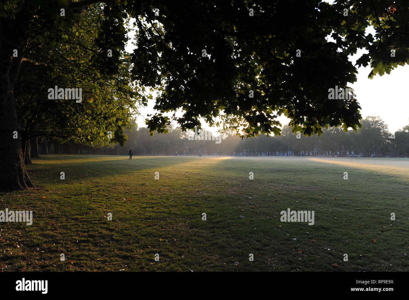 Early Morning mist salita su campi di Highbury Foto Stock