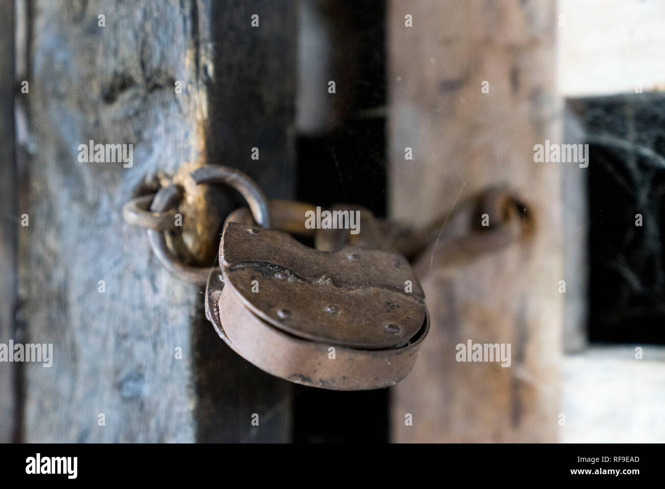 Lucchetto retrò su una porta di legno Foto Stock